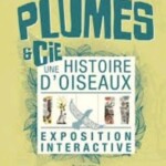 EXPOSITION INTERACTIVE à la Médiathèque